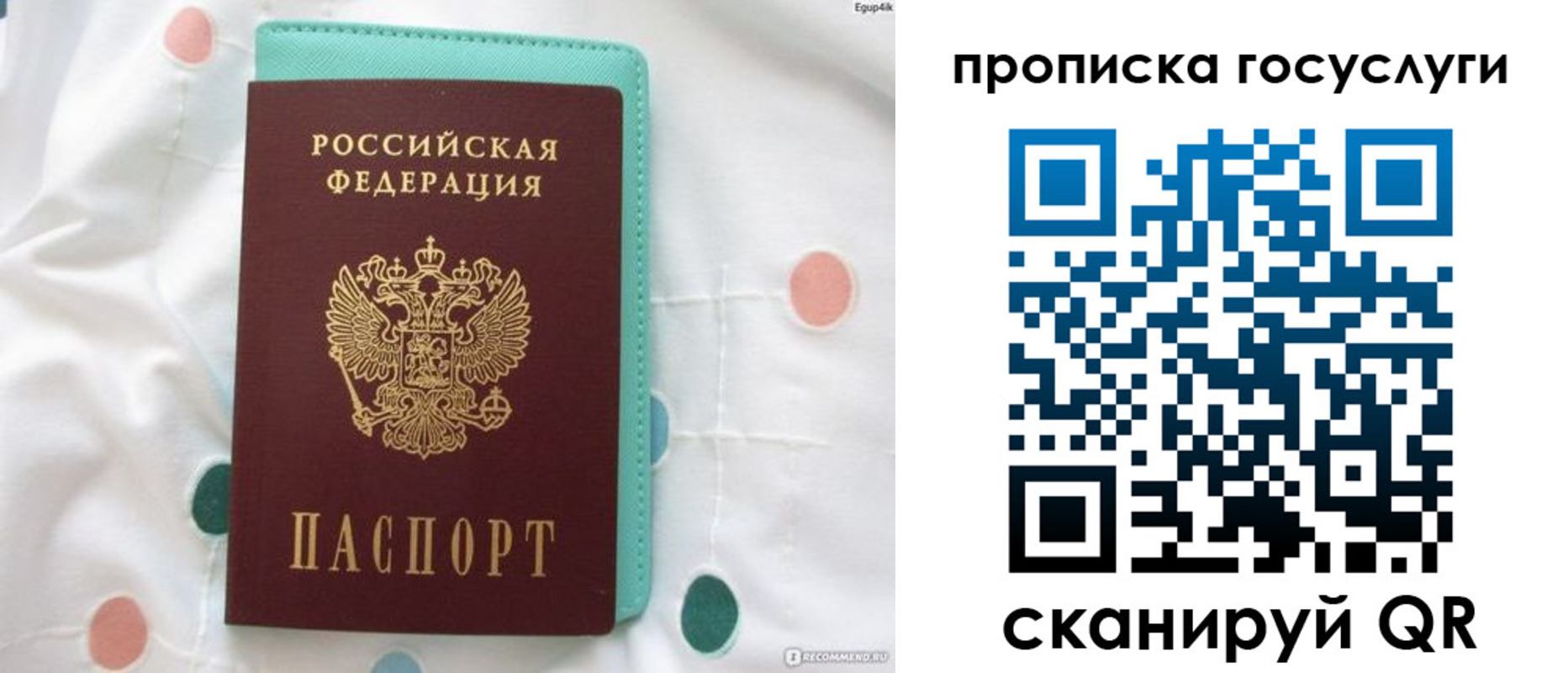 прописка поиск в Советске